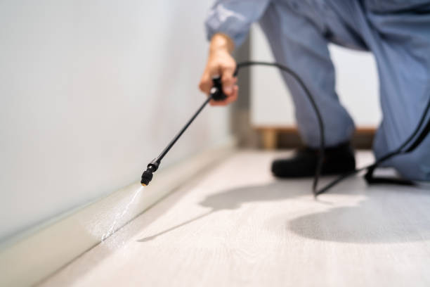 Licensed Fumigation Services service in Mountainair, NM - Nex Pest Control
