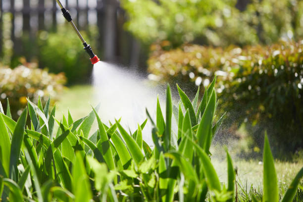 24/7 Emergency Fumigation Services experts in Mountainair, NM