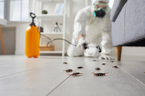 Trusted Fumigation Services service in Mountainair, NM - Nex Pest Control