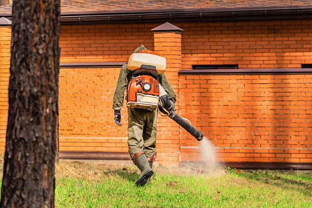 Trusted Ant Control service in Mountainair, NM - Nex Pest Control